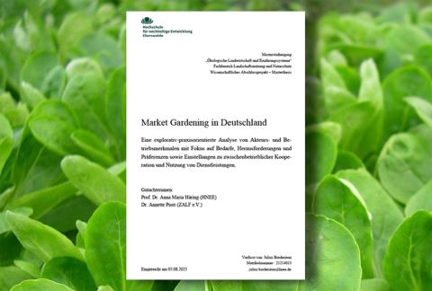 Titelseite der Masterarbeit